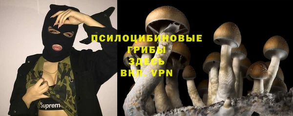 твердый Армянск