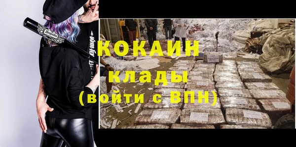 стаф Аркадак