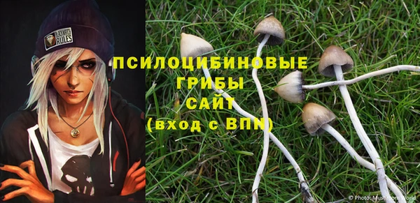 таблы Арсеньев