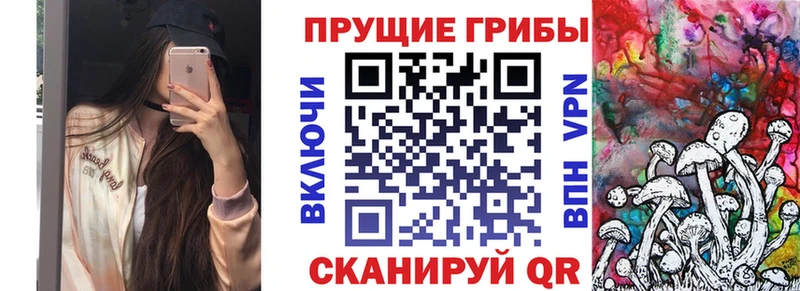 мега маркетплейс  Кологрив  Галлюциногенные грибы ЛСД 
