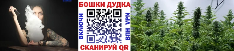 Канабис Bruce Banner  Кологрив 